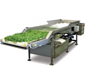 Máy rửa rau củ quả sục khí